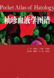 西安至广东惠州天气情况