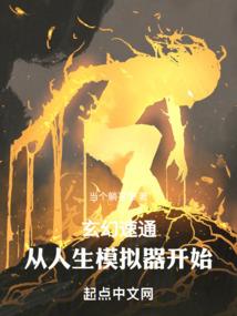 台州山茶园天气情况如何
