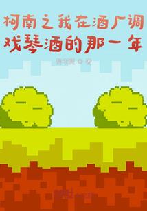 施甸县一年天气情况