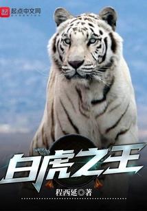南昌一周天气统计表格图