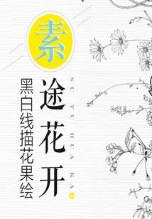 诏安诏安天气预报