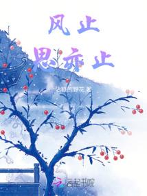 南部明天的天气