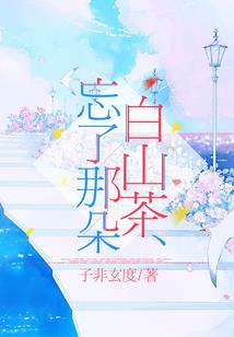 鸟类如何感知天气变化