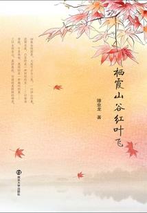 朝阳区24号天气情况