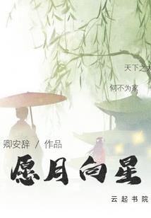 pc好看的天气插件