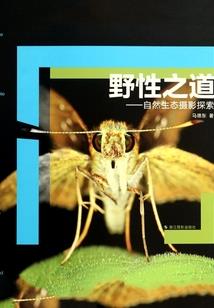伊宁这周的天气
