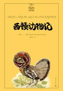 如何查3月的天气预报