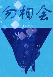 茅箭一周天气预报