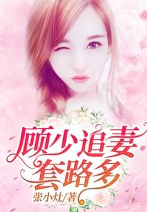 云南盈江一年天气情况