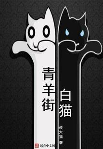 泰顺黄家垟天气情况