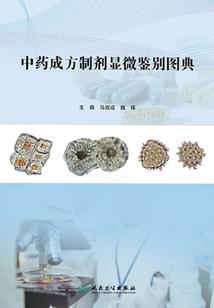 今天福建长汀天气如何