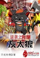 广东1月天气