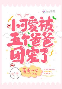 西藏盐井村天气情况