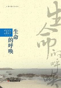 高田的天气