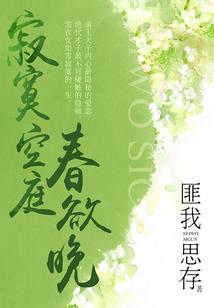 天气透明小组件怎么设置