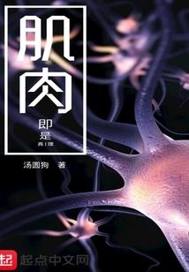 西双版纳什么天气12月