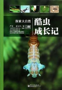 97年八月天气合肥