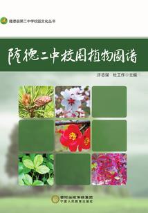 天气特别热的东北