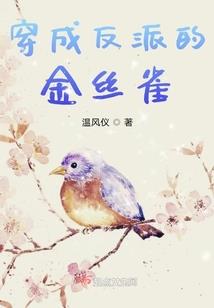 卡拉奇天气丹真假