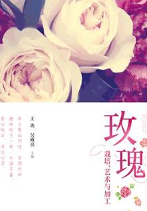 怎么算天气回暖