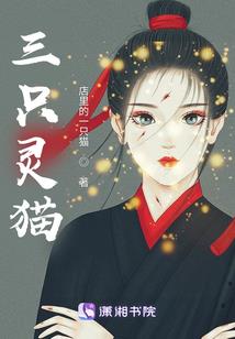 江西芦山西海一周天气