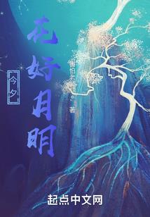深圳一年天气如何