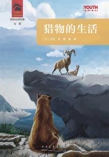 最近广州天气情况